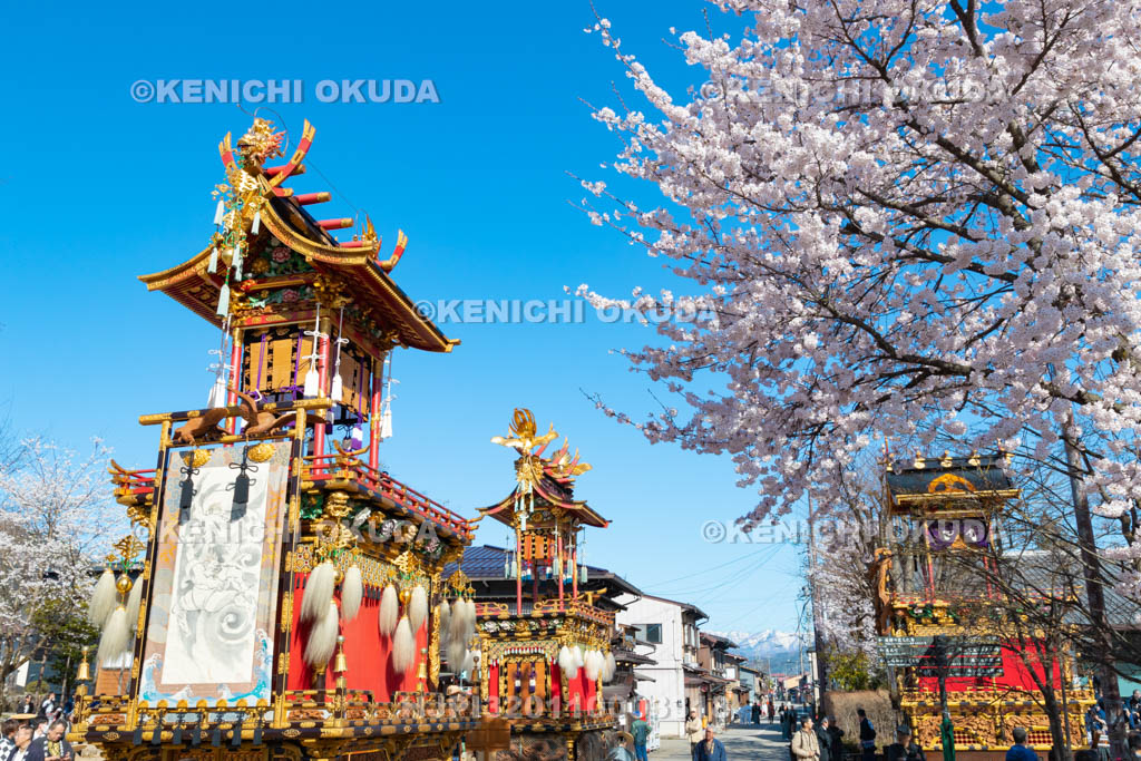 岐阜県　古川祭　まつり広場の屋台曳き揃え