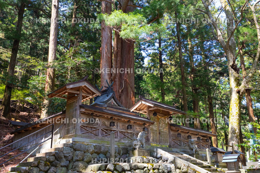 奈良県　洞川八幡宮