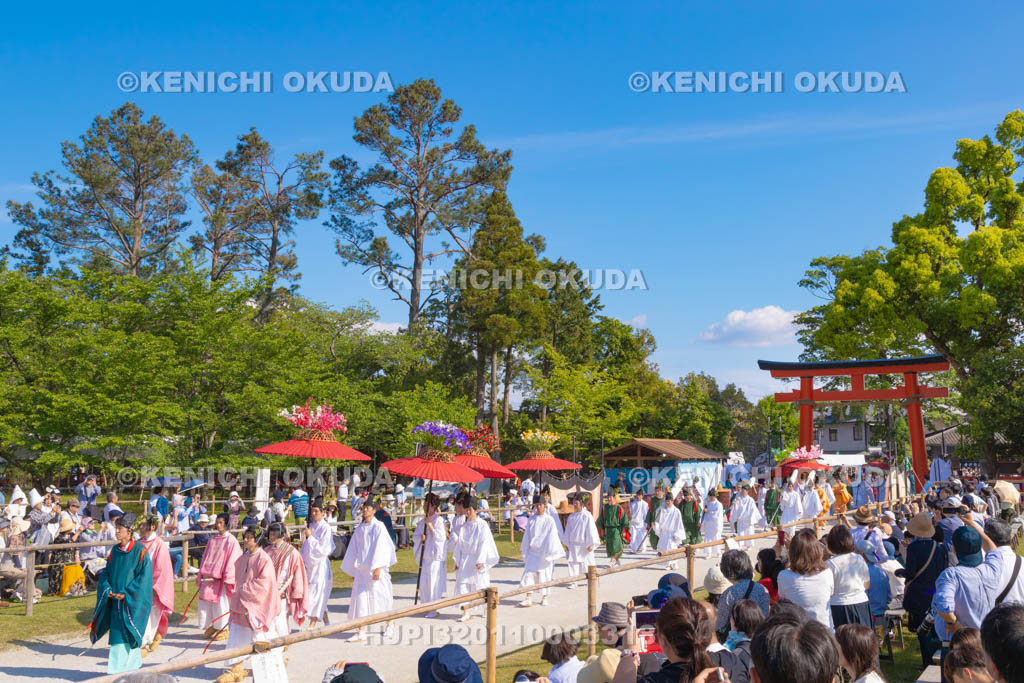 京都府　葵祭　路頭の儀