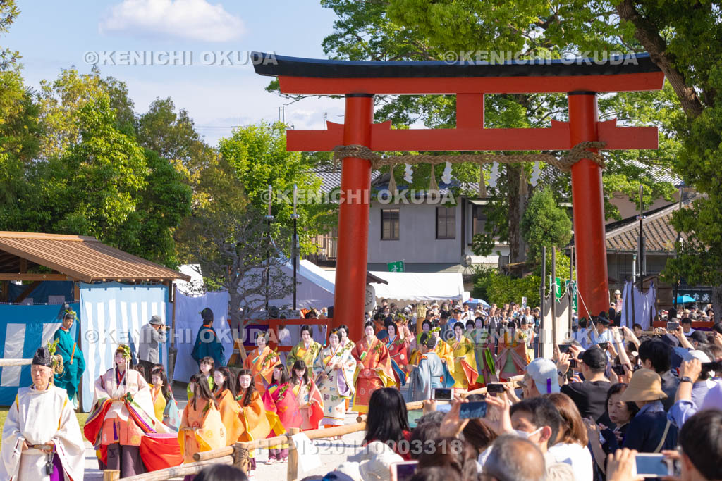 京都府　葵祭　路頭の儀