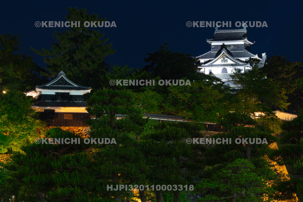 島根県　松江城の夜景