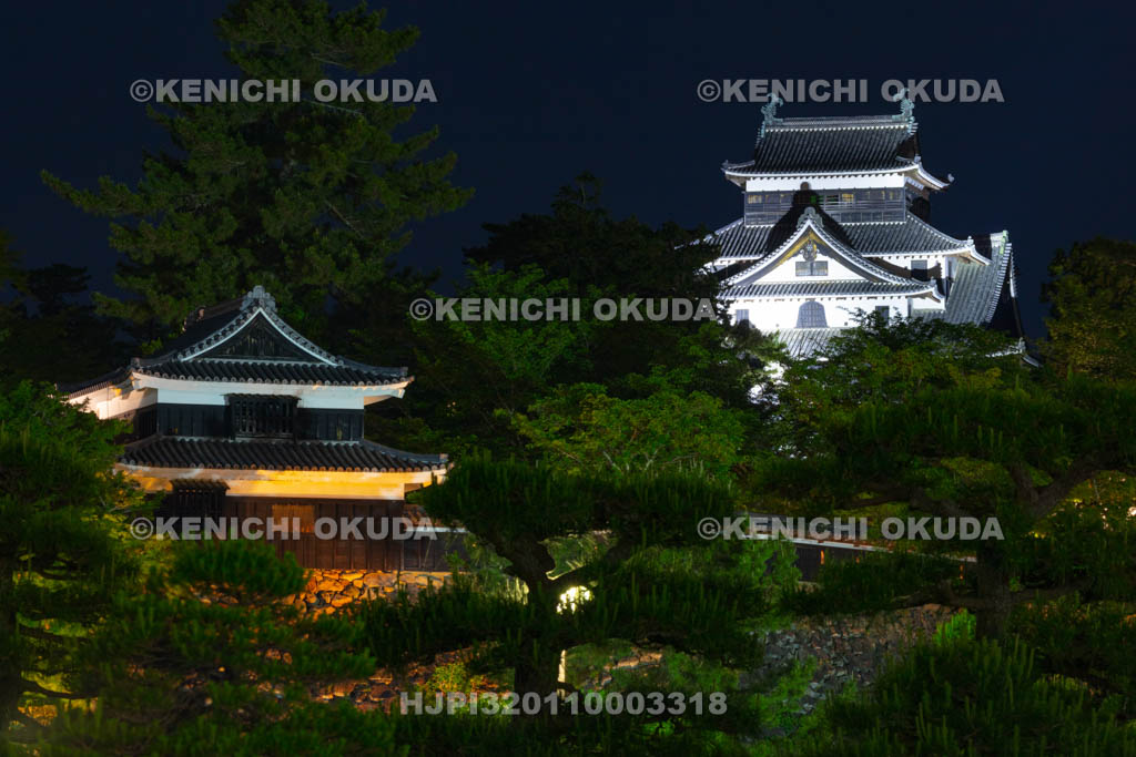 島根県　松江城の夜景