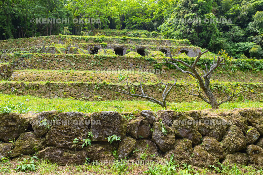 島根県　石見銀山　清水谷精錬所跡