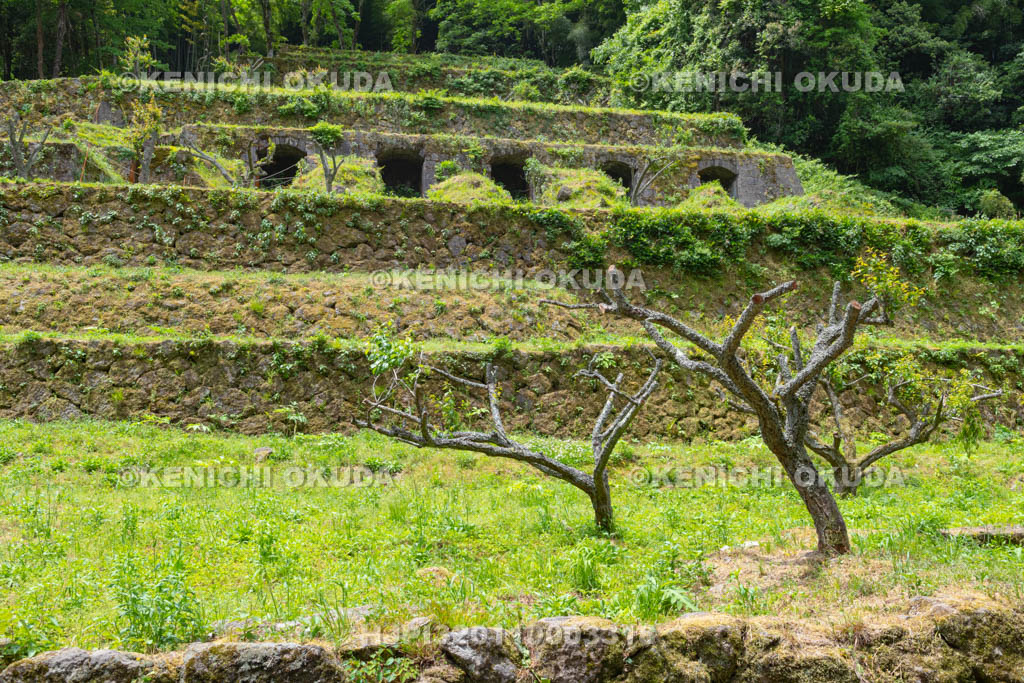 島根県　石見銀山　清水谷精錬所跡