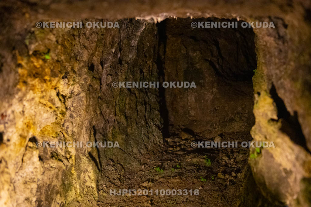 島根県　石見銀山　龍源寺間歩　ひおい坑