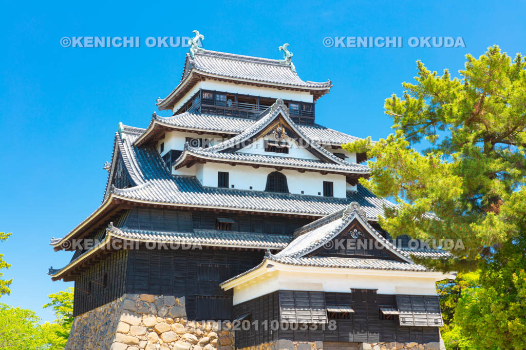 島根県　松江城