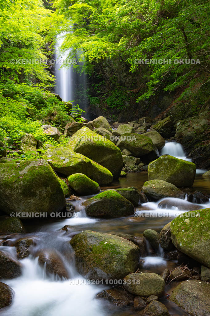 三重県　白藤滝