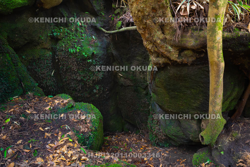 三重県 藤原千方伝説地 桜井戸跡