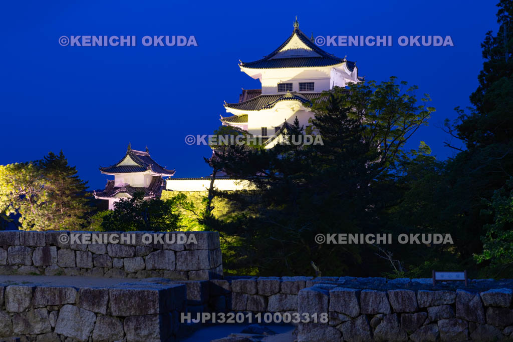 三重県　伊賀上野城の夜景
