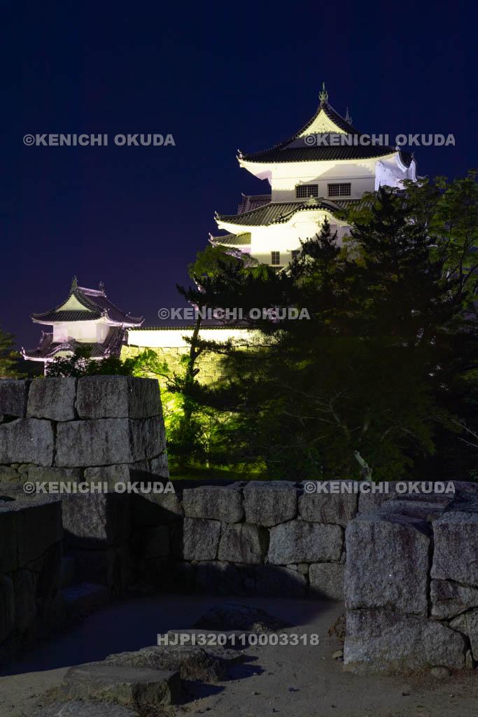 三重県　伊賀上野城の夜景