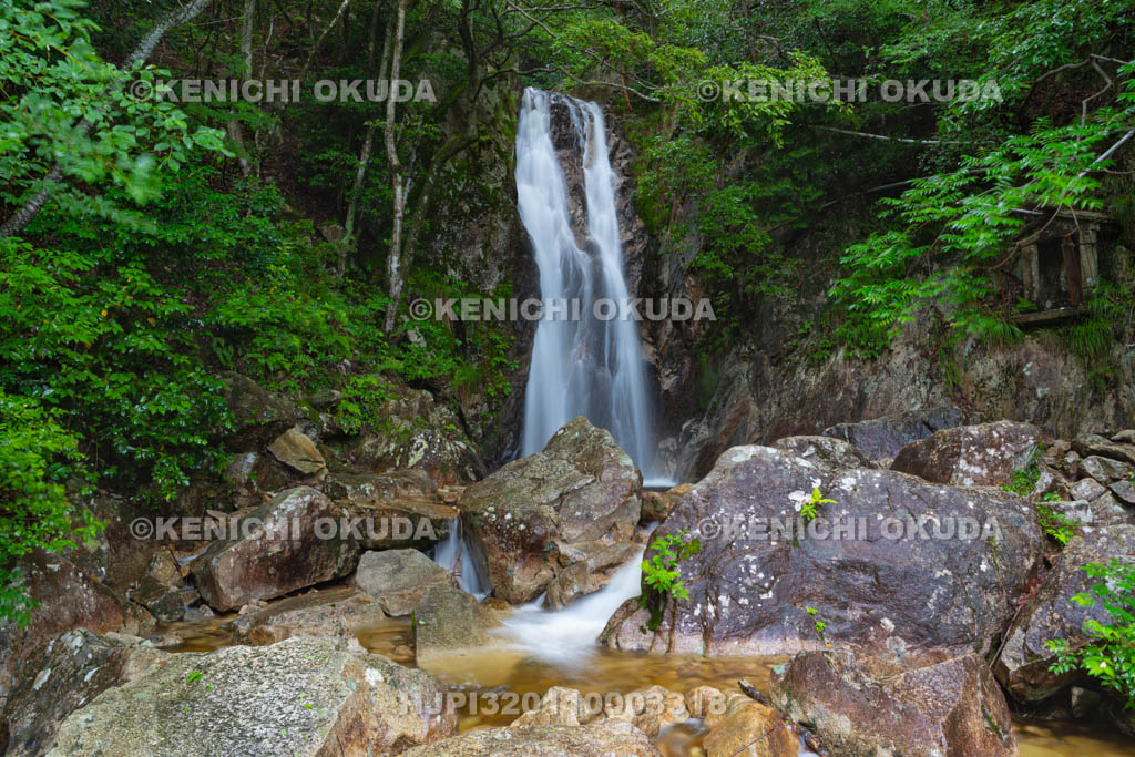 滋賀県　楊梅の滝　雌滝