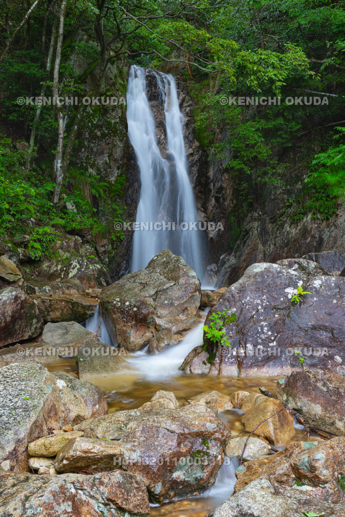 滋賀県　楊梅の滝　雌滝