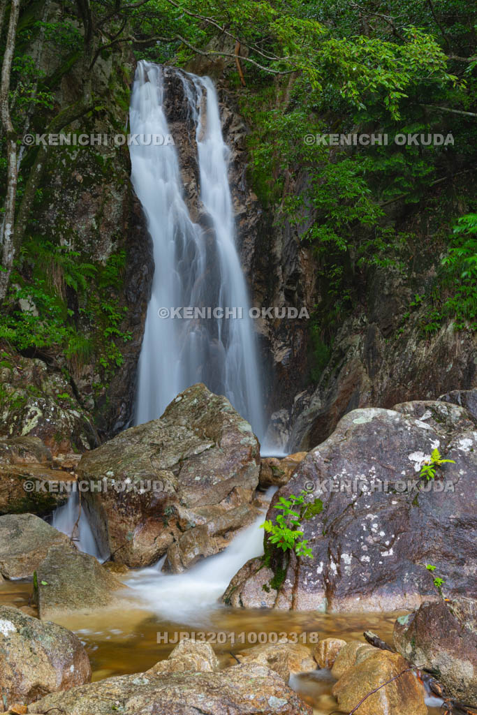 滋賀県　楊梅の滝　雌滝