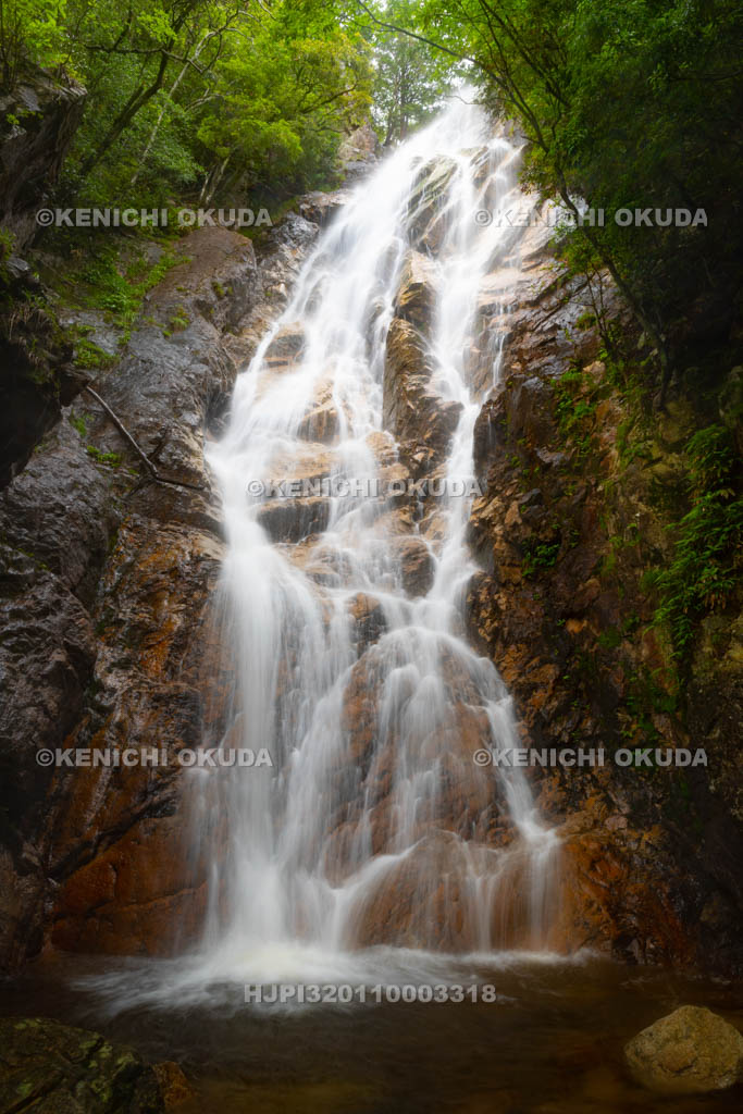 滋賀県　楊梅の滝　雄滝
