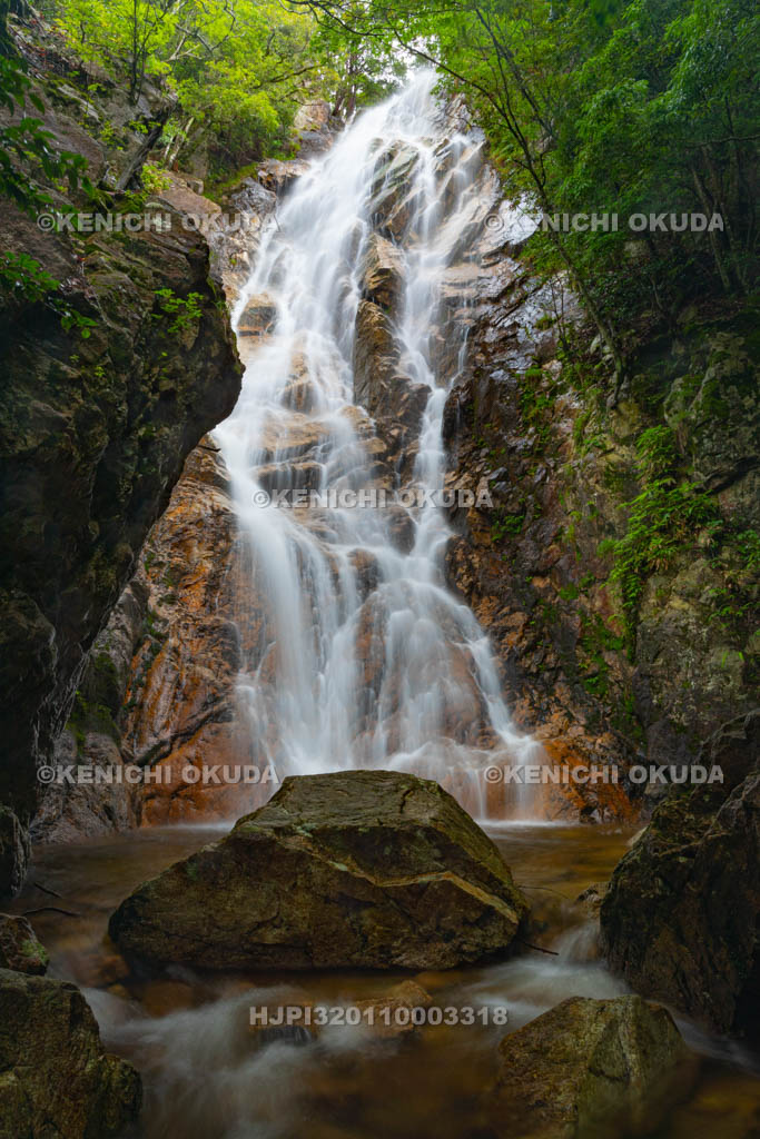 滋賀県　楊梅の滝　雄滝