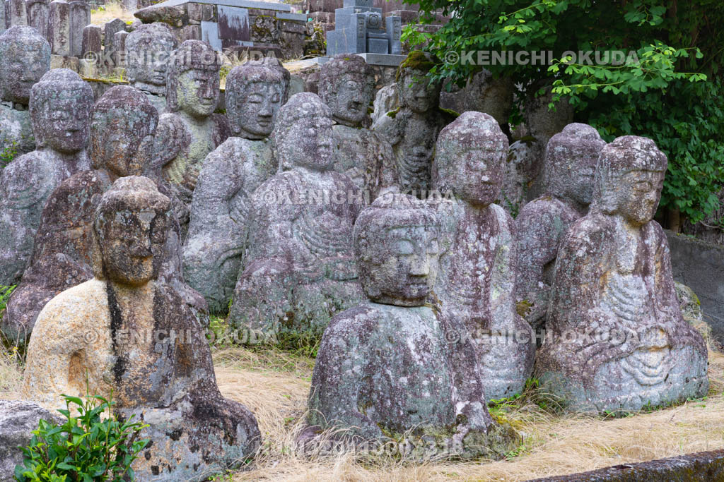 滋賀県 鵜川四十八体石仏群