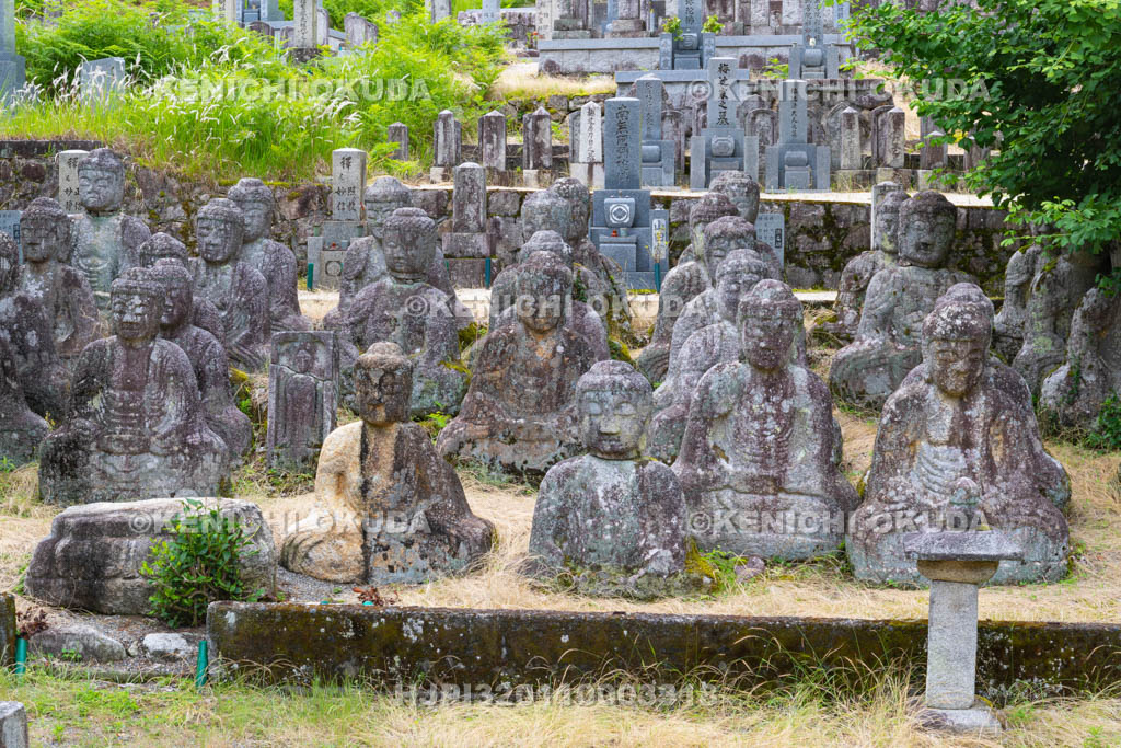 滋賀県 鵜川四十八体石仏群