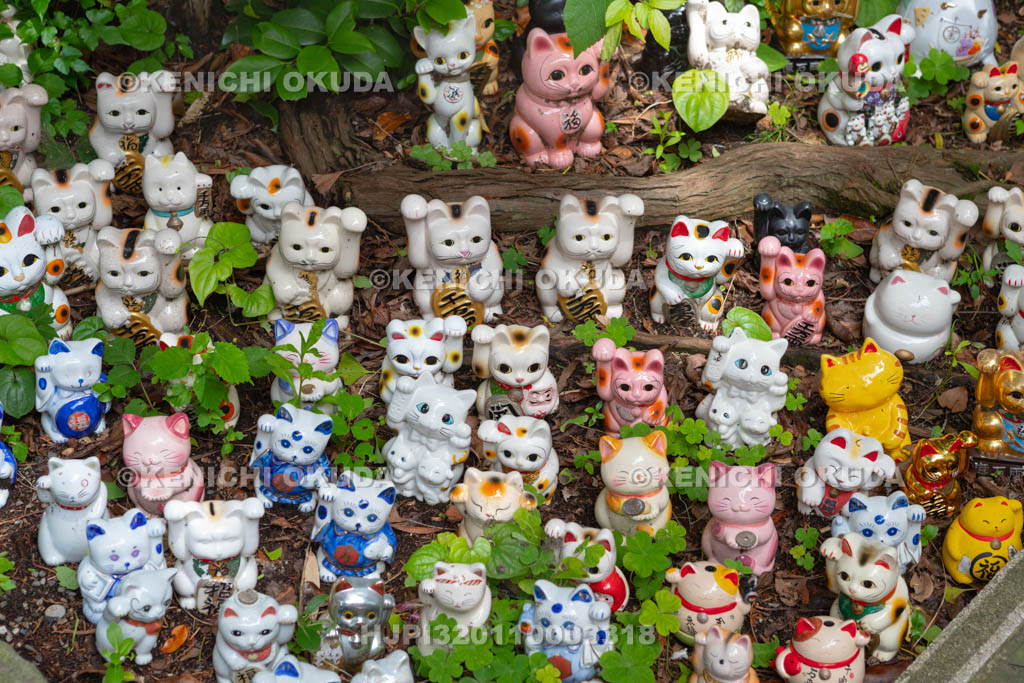 和歌山県　淡嶋神社