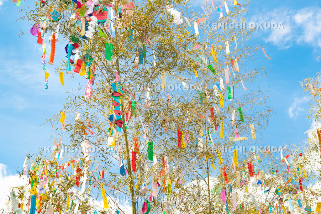 大阪府　機物神社　七夕祭り