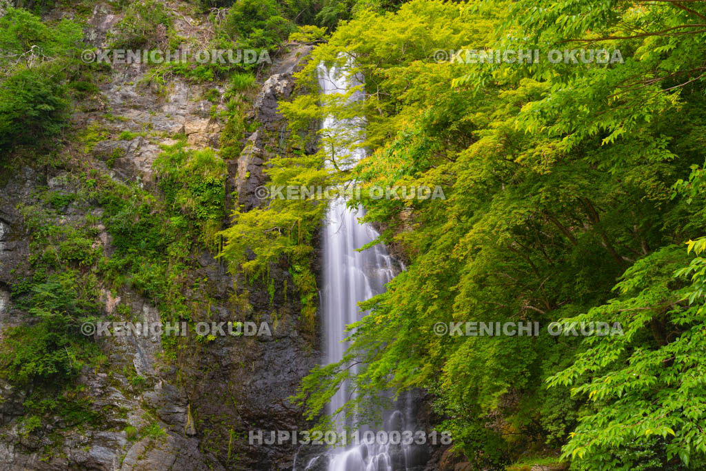 大阪府 箕面滝