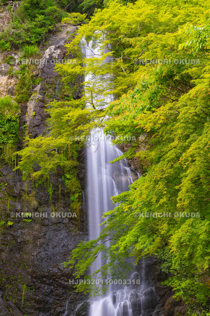 大阪府 箕面滝