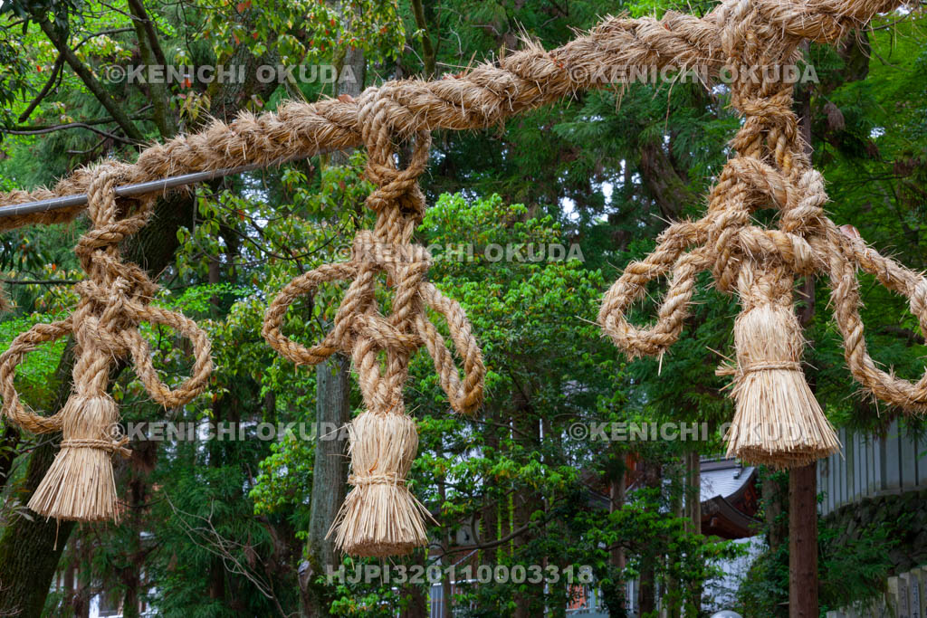 大阪府　枚岡神社　注連縄