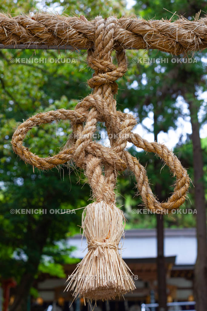 大阪府　枚岡神社　注連縄