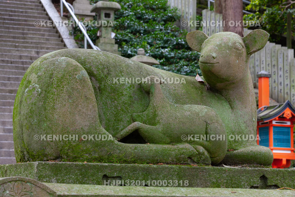 大阪府　枚岡神社　神鹿