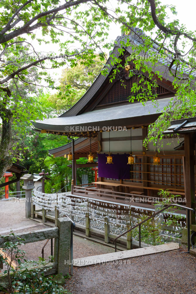大阪府　枚岡神社　拝殿