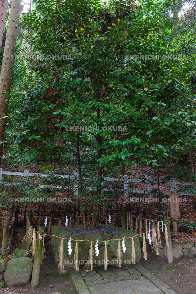 大阪府　枚岡神社　遥拝所