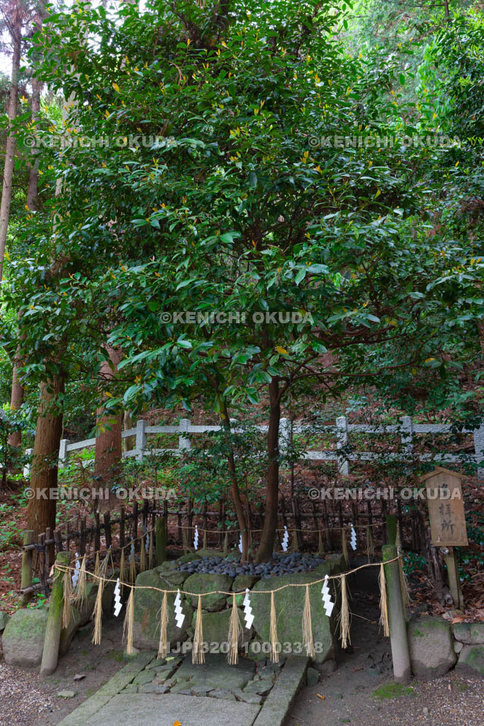 大阪府　枚岡神社　遥拝所