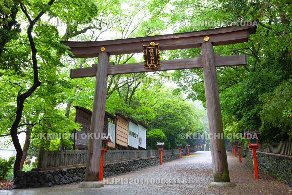 大阪府　枚岡神社　二の鳥居と参道