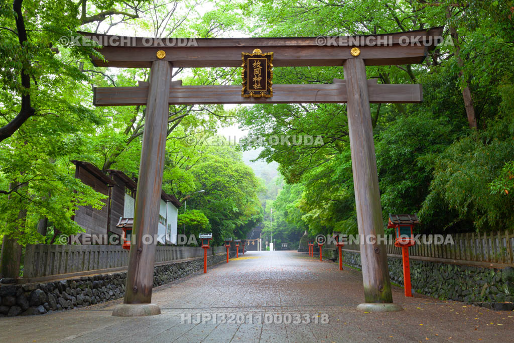 大阪府　枚岡神社　二の鳥居と参道