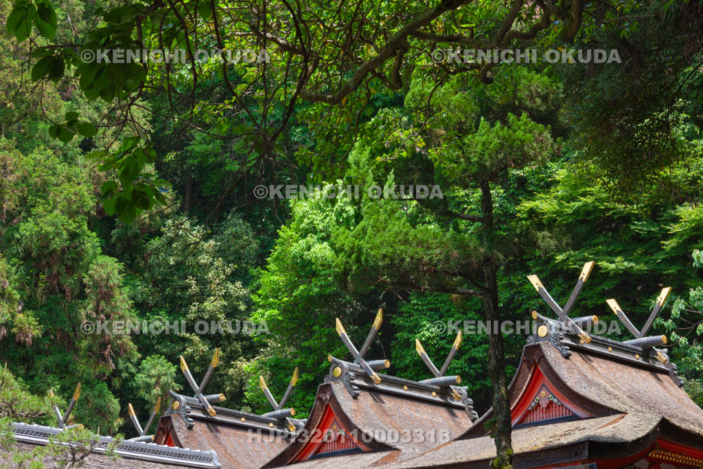 大阪府　枚岡神社　本殿