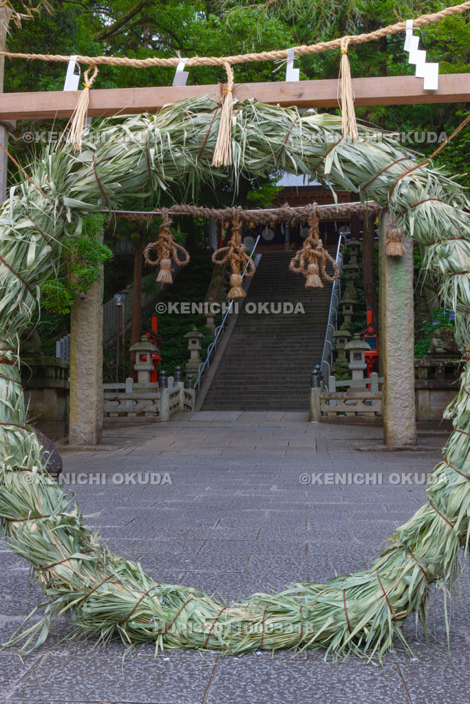 大阪府　枚岡神社　茅の輪