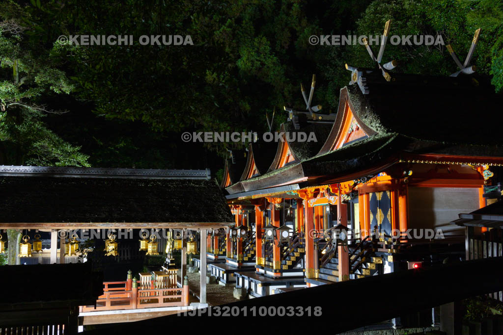 大阪府　夜の枚岡神社　本殿