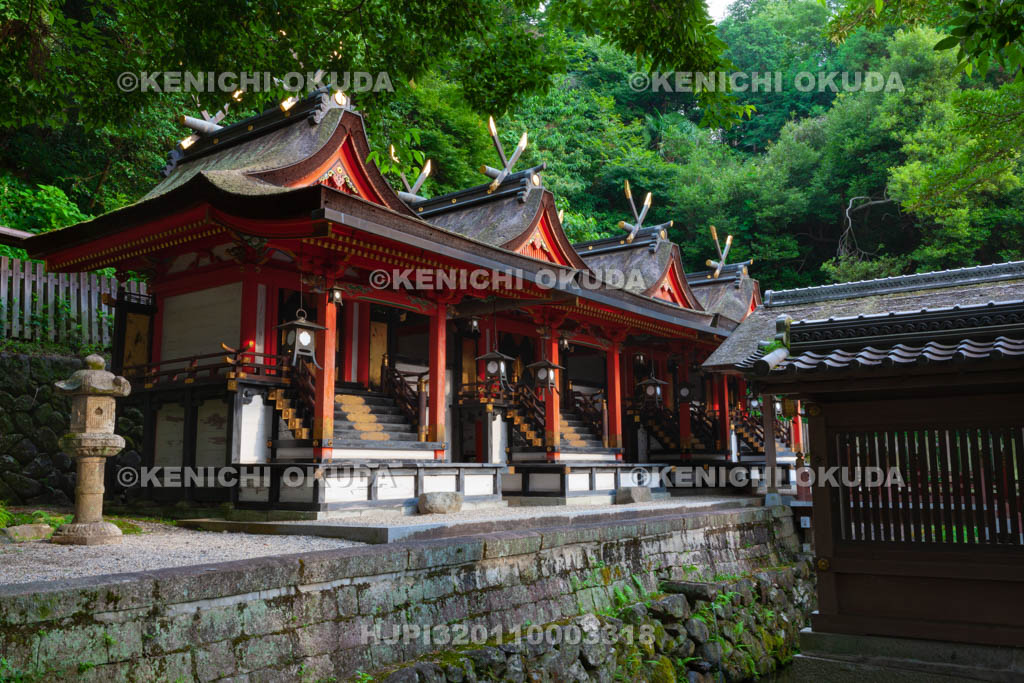 大阪府　枚岡神社　本殿