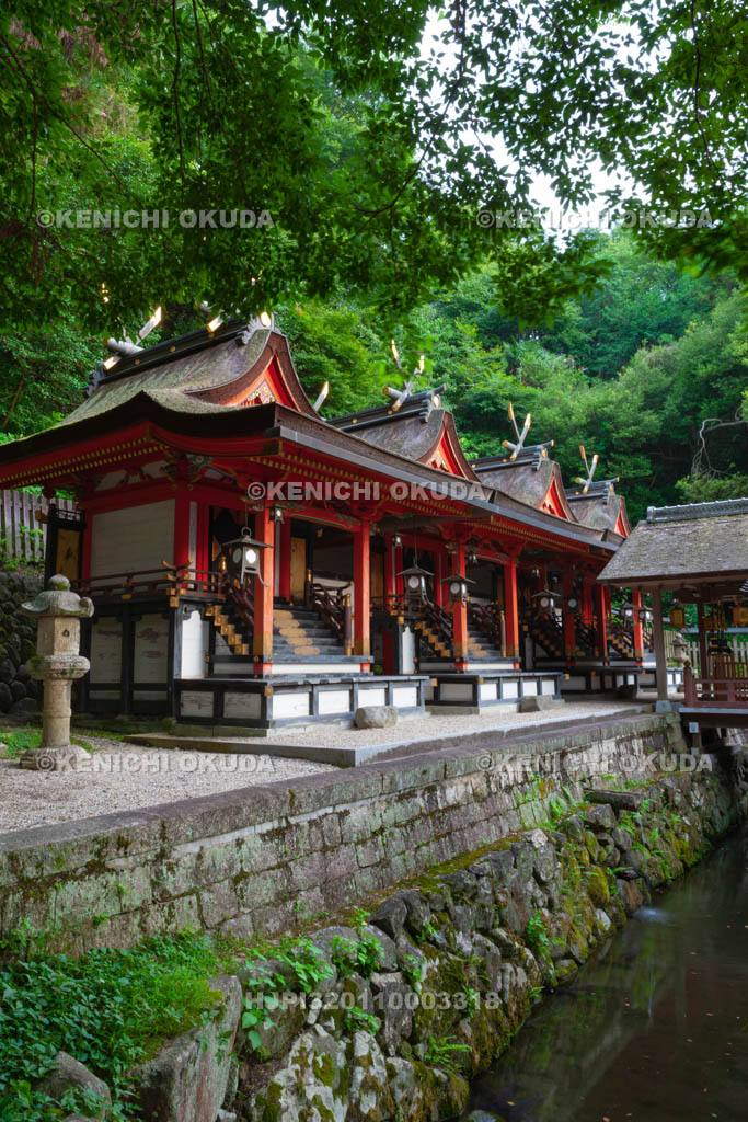 大阪府　枚岡神社　本殿