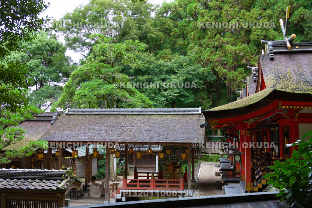大阪府　枚岡神社　祝詞奏上