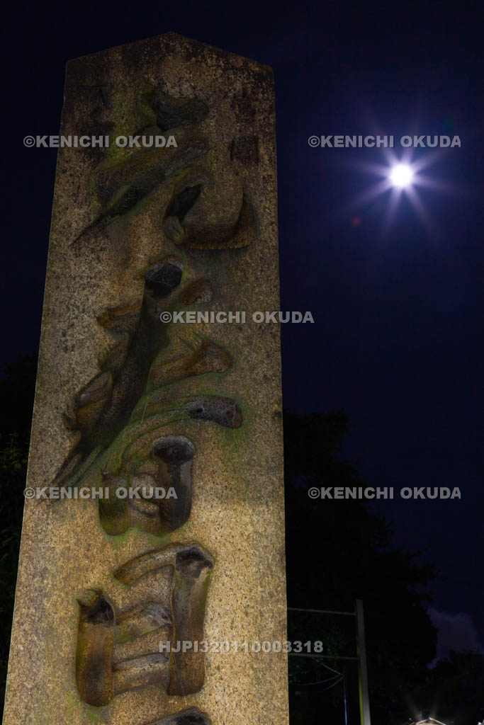 大阪府　夜の枚岡神社　元春日の碑