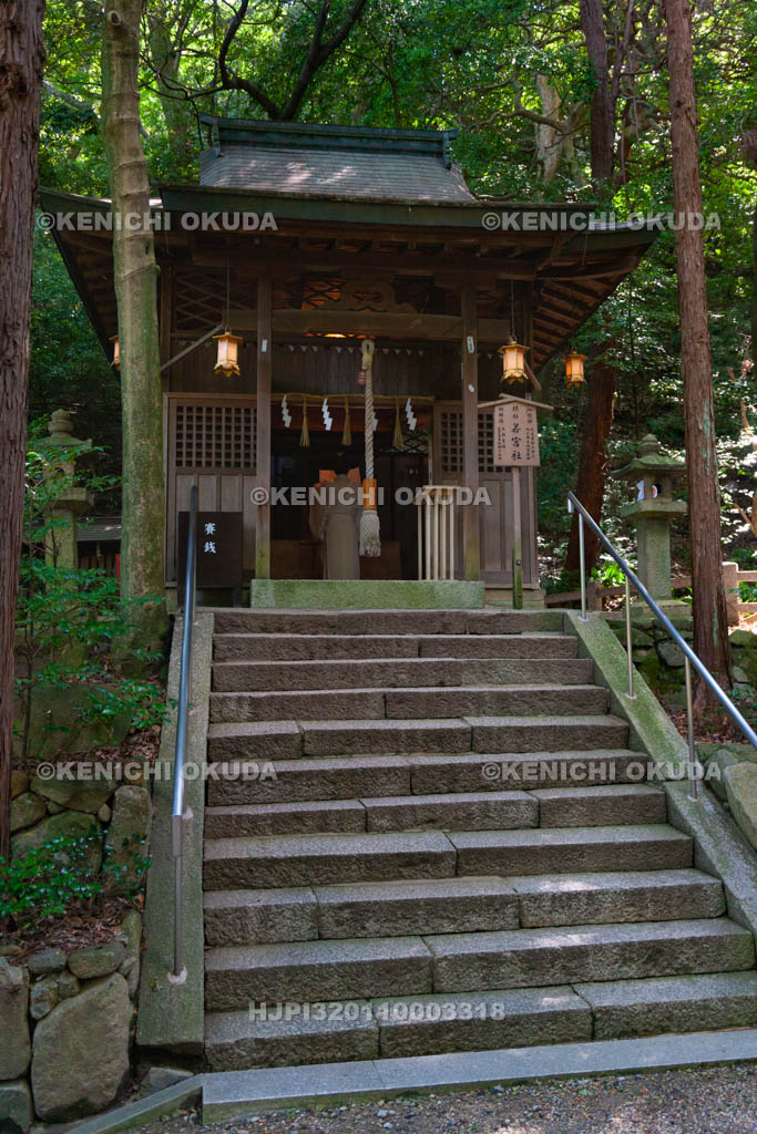 大阪府　枚岡神社　摂社若宮社　祝詞奏上