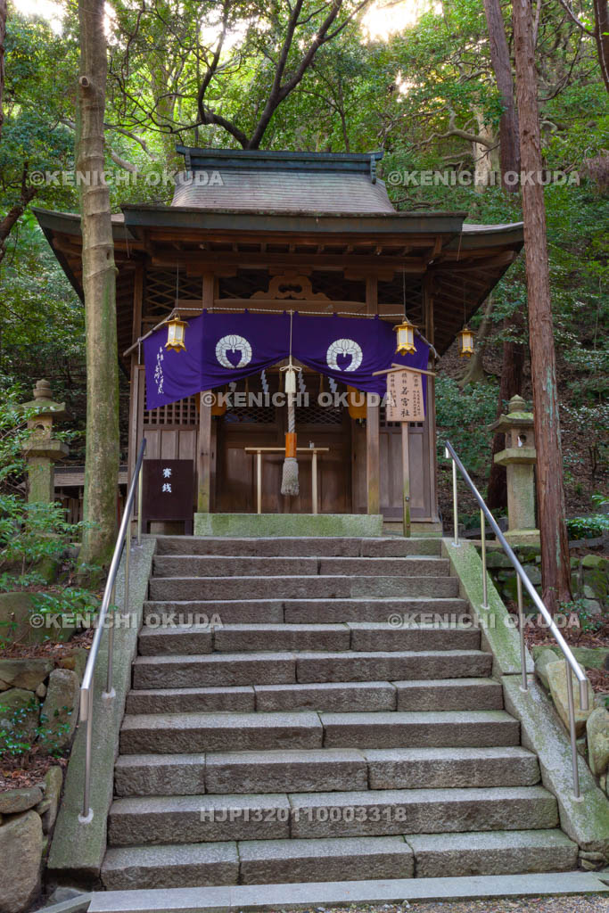 大阪府　枚岡神社　摂社　若宮社