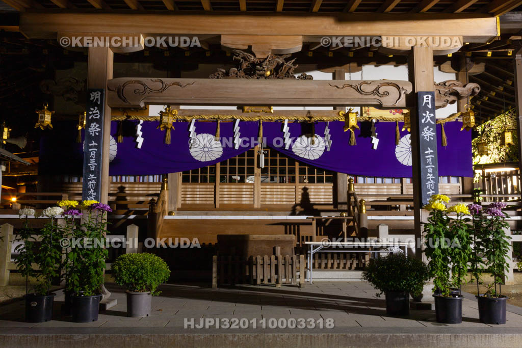 大阪府　夜の枚岡神社　菊花と拝殿