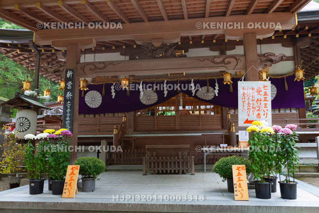大阪府　枚岡神社　七五三まいり