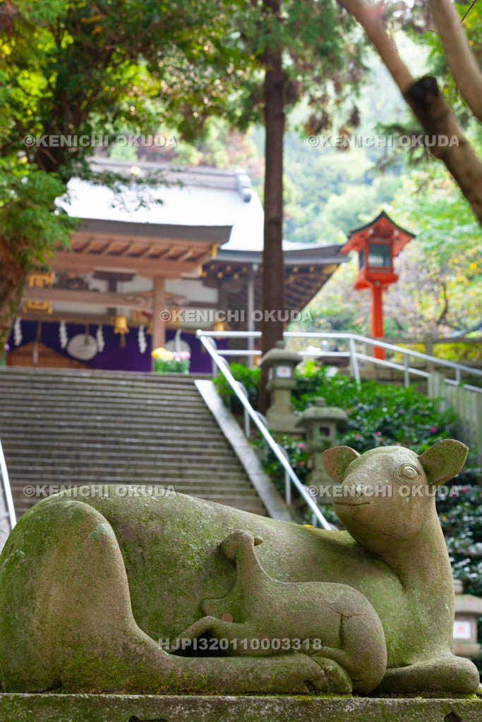 大阪府　枚岡神社　神鹿と拝殿
