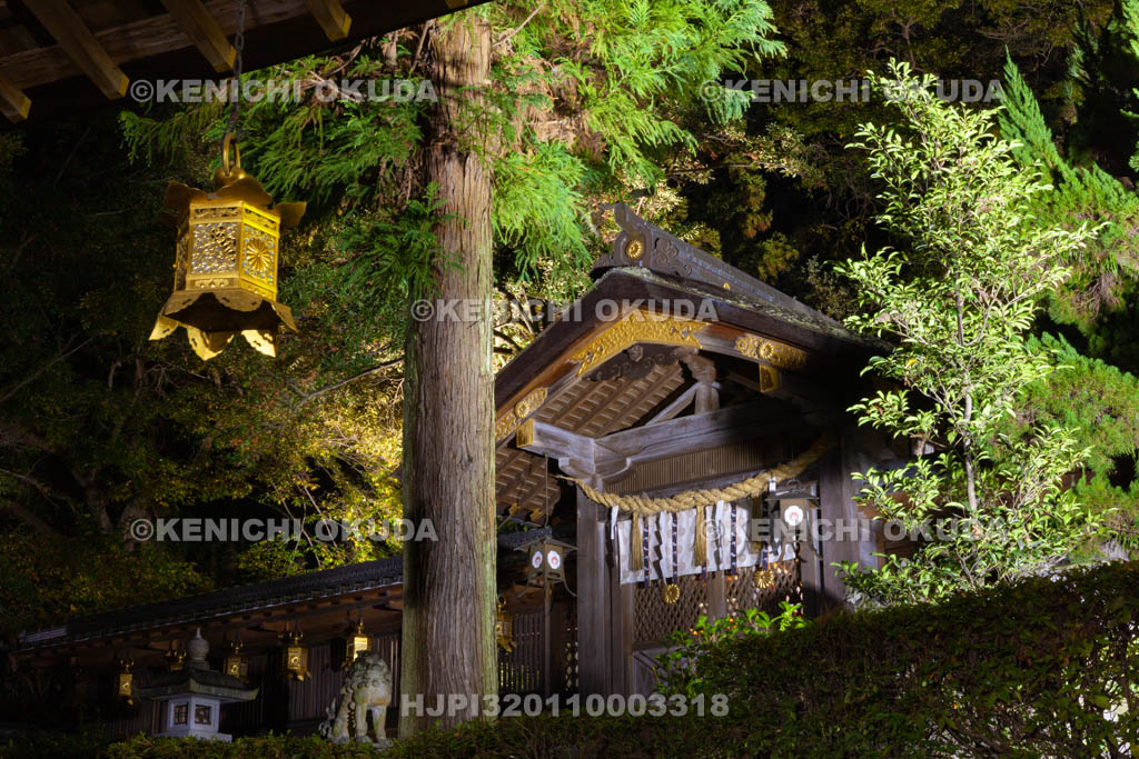 大阪府　夜の枚岡神社　中門
