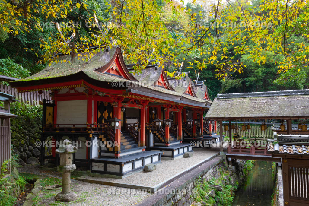 大阪府　枚岡神社　本殿