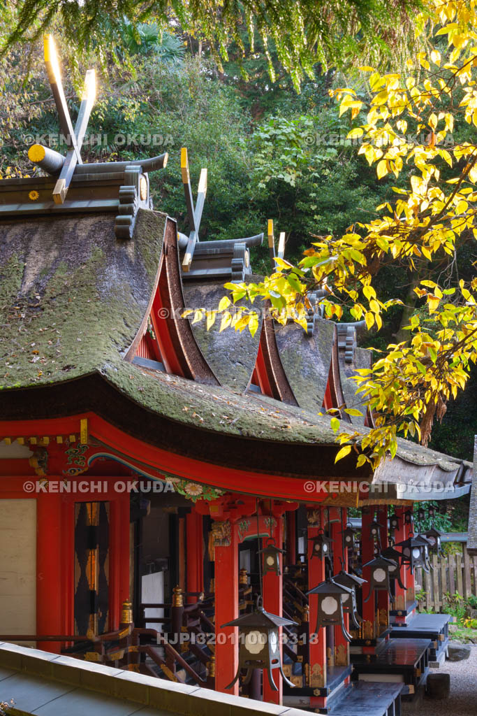 大阪府　枚岡神社　本殿