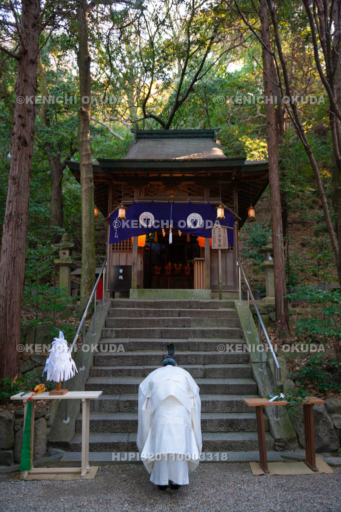 大阪府　枚岡神社　摂社若宮社例祭　拝礼