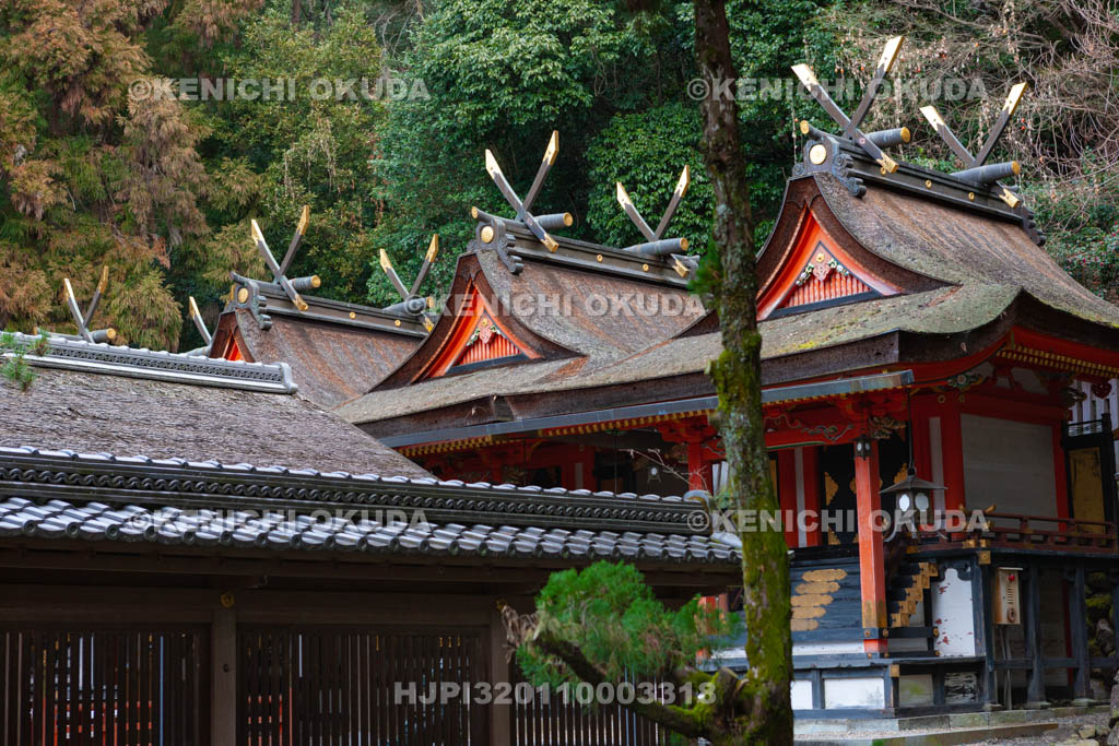 大阪府　枚岡神社　本殿